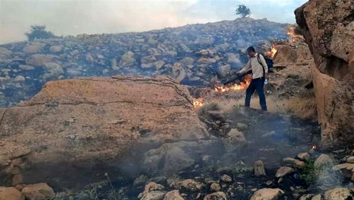 پایان آتش‌سوزی جنگل‌های گچساران پس از ۸۰ ساعت / همه ارگان‌ها برای مهار حریق به میدان آمدند
