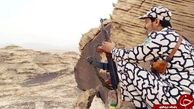 استتار احمقانه نظامیان سعودی+تصاویر