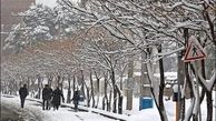 بارش برف و باران از سه شنبه در پایتخت
