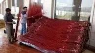  اشتغال هشت هزار نفر با تولید بید سرخ