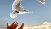 جوان تهرانی پای چوبه دار جان دوباره گرفت / 2 شرط جالب برای بخشش