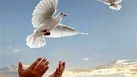 جوان تهرانی پای چوبه دار جان دوباره گرفت / 2 شرط جالب برای بخشش