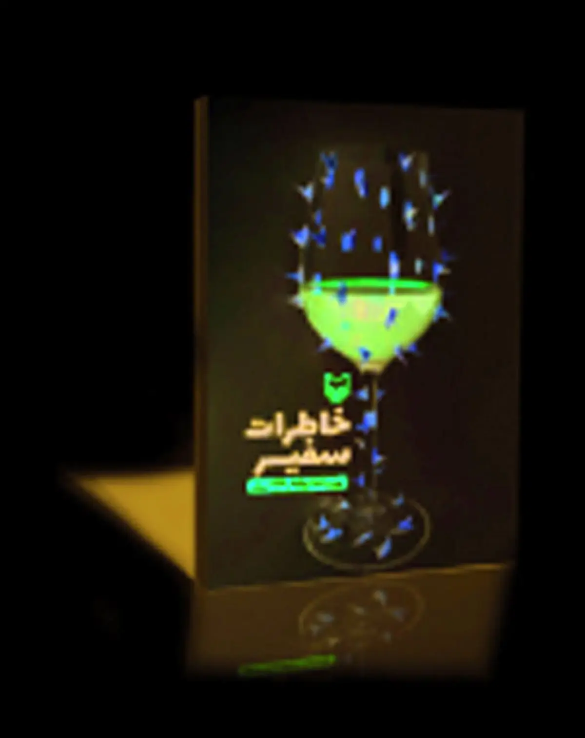 رهبری حتی شخصیت‌های کتابم را می‌شناختند