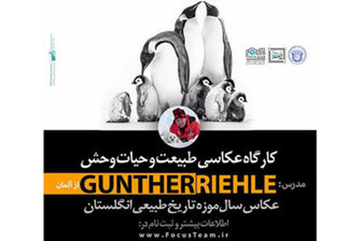 عکاس آلمانی داور فستیوال«خیام» شد