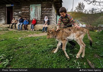 13940319121407309_PhotoL