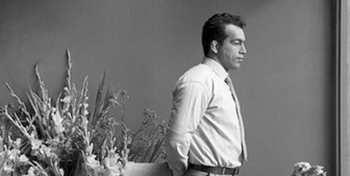 نیم نگاهی به «غلامرضا تختی»/ تصاویر