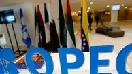 تحریم نفت ایران اوپک را به دردسر انداخت
