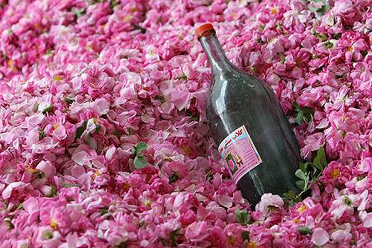 گلاب‌گیری در کوچه‌های قدیمی تهران/ عکس