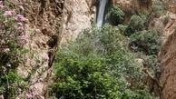 تنها آبشار آپارتمانی جهان در ایران+تصاویر