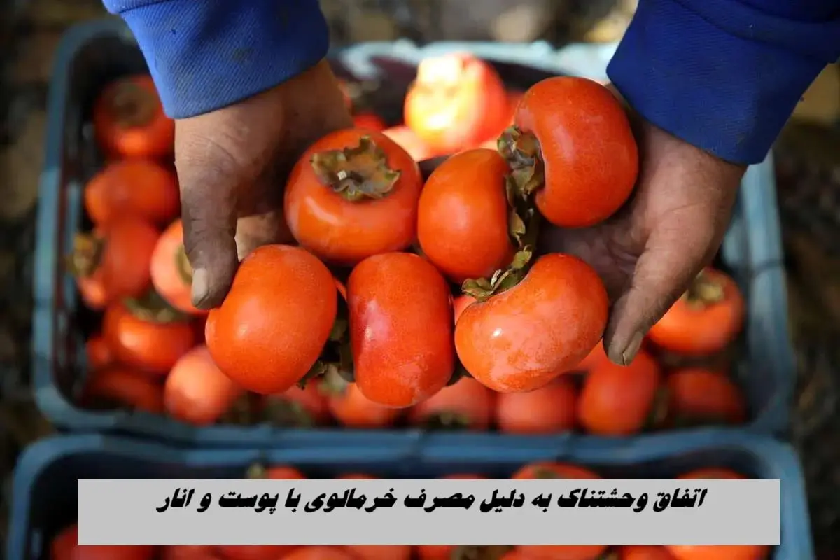 اتفاق وحشتناک به دلیل مصرف خرمالوی با پوست و انار !