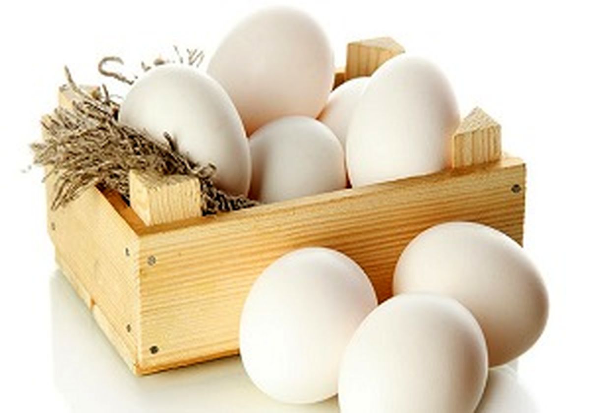 معجزه تخم مرغ را بر زیبایی پوست و مویتان ببینید 