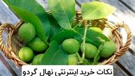 بهترین نکات خرید اینترنتی نهال گردو در سال 1400