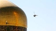 تشرف یک مسیحی پرتغالی به اسلام در حرم رضوی 