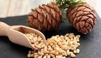 معجزه مغز کاج در زیبایی پوست