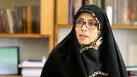 دستیار رئیس‌جمهور به طرح جنجالی «فراکسیون امید» ایراد گرفت
