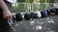 سارقانی که باگل وشیرینی به سرقت می‌روند!