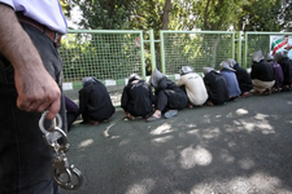 سارقانی که باگل وشیرینی به سرقت می‌روند!