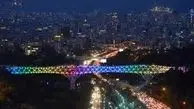 حادثه برای زن جوان در پل طبیعت