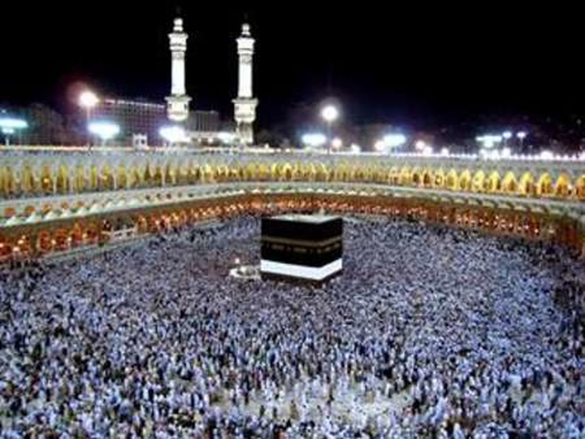 سرنوشت حج 95 از زبان رییس سازمان حج و زیارت