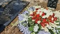 مجید واشقانی عزادار شد + عکس