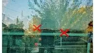 هنرنمایی مهدی پاکدل در عرصه عکاسی+عکس
