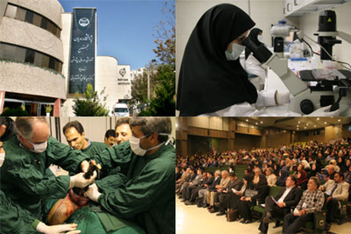 ماجرای درمان سرطان لوسمی/ دوران درخشان ایرانیان در علم پزشکی