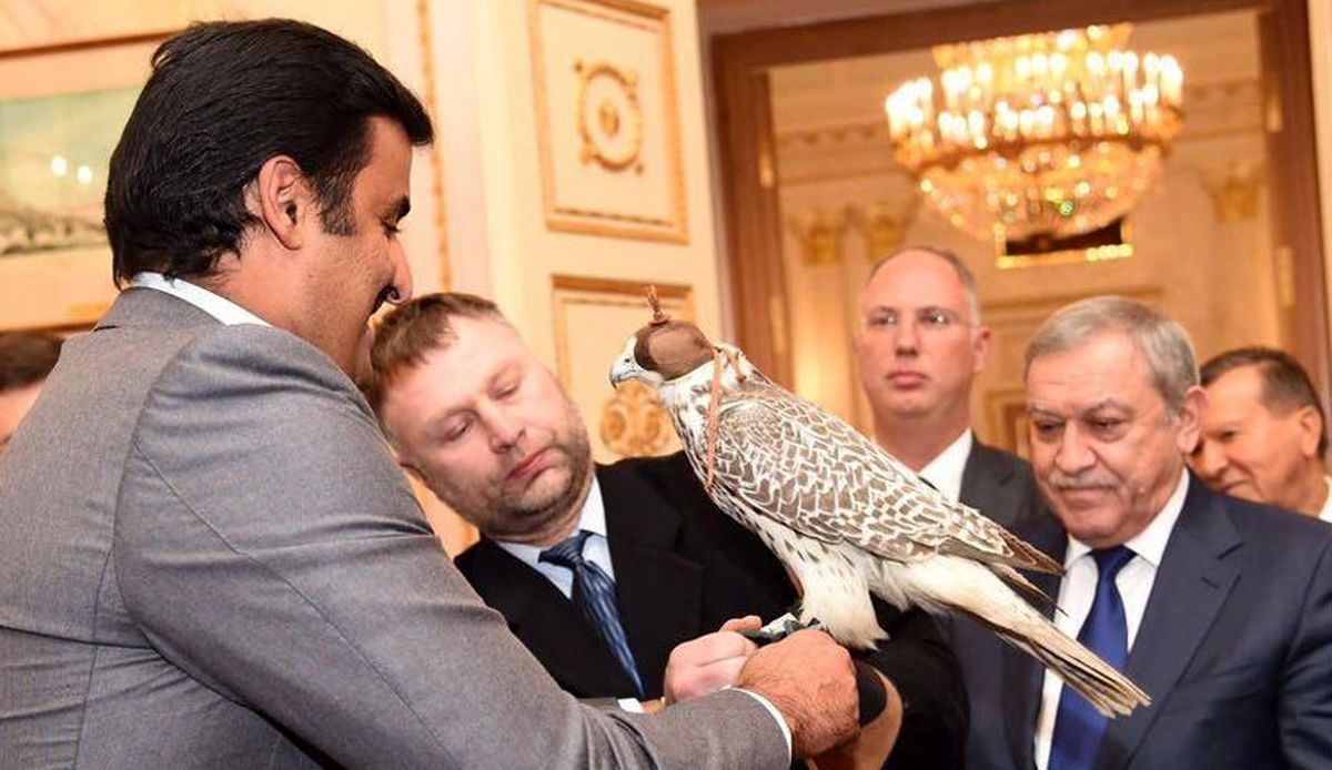 شاهین امیر قطر دردسرساز شد!
