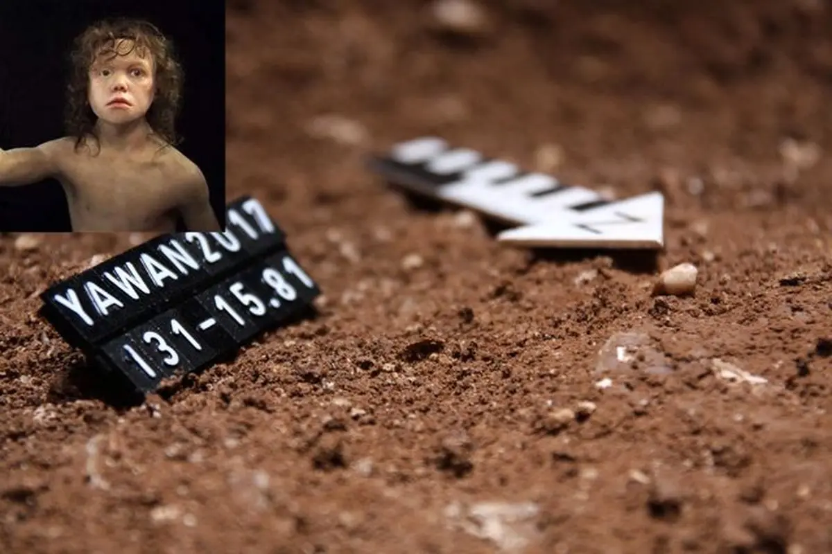 کشف نخستین دندان انسان نئاندرتال در ایران