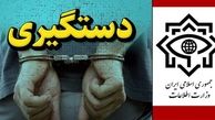 وزارت اطلاعات یک تبعه سوئد را به اتهام‌ جاسوسی بازداشت کرد
