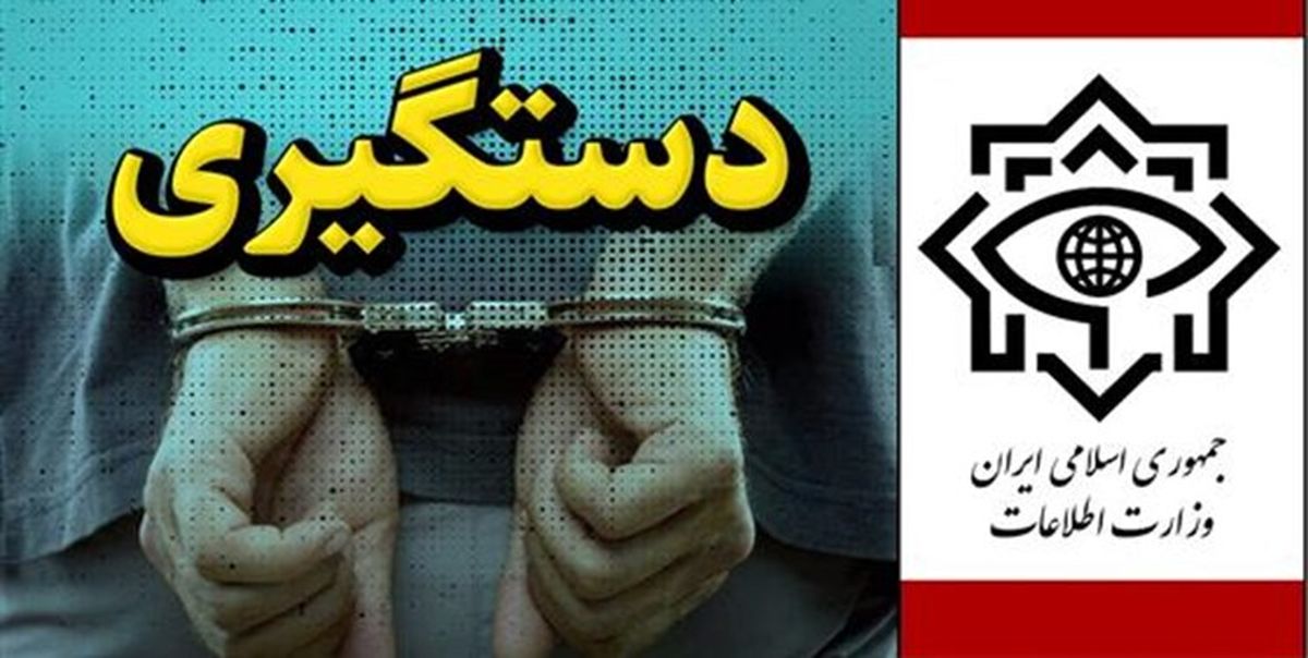 وزارت اطلاعات یک تبعه سوئد را به اتهام‌ جاسوسی بازداشت کرد