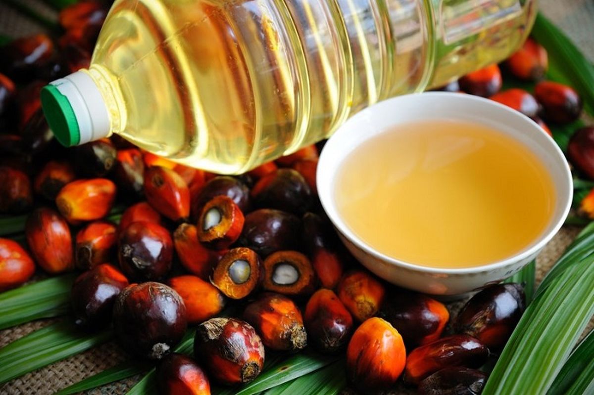 فواید و مضرات روغن پالم چیست؟