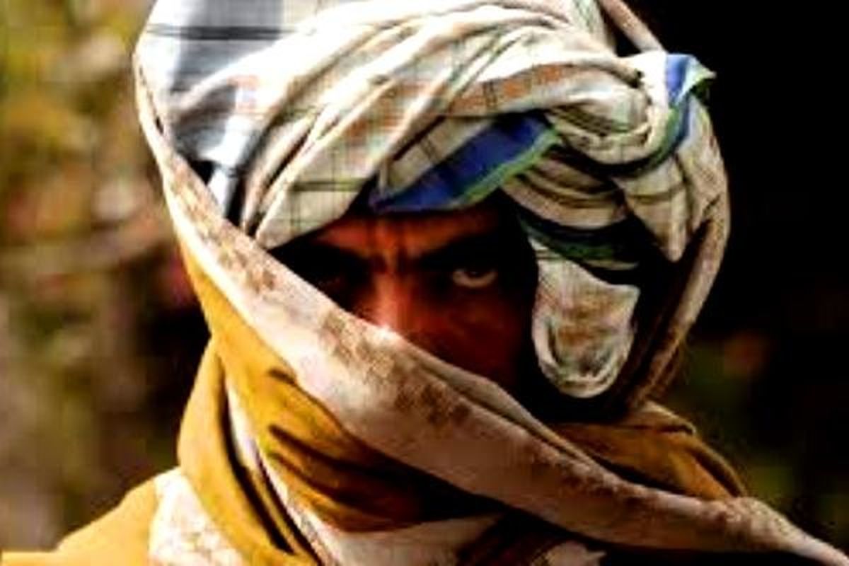 پیشروی طالبان در غرب «پلمخری»