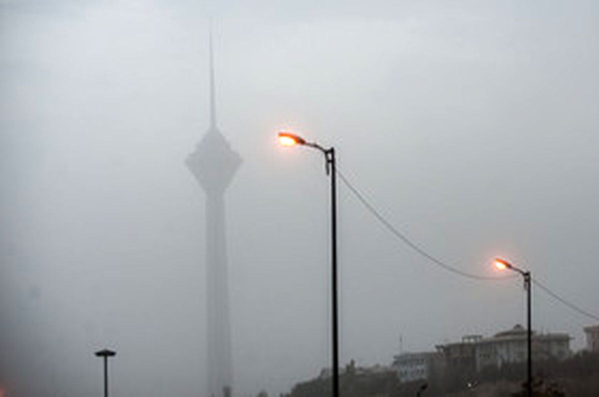 سه رویداد محیط زیستی مدیریت شهری تهران