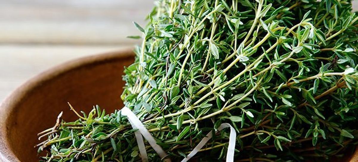 با این دمنوش خوابی آرام را تجربه کنید