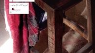 «گود»؛ برشی از تاریخ سیاسی ایران/ بخش هایی از رمان