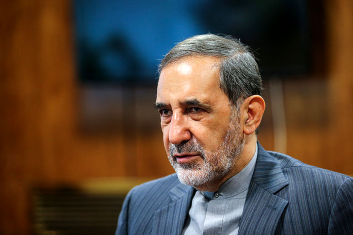 ولایتی: دانشگاه آزاد "ملک شخصی" کسی نیست