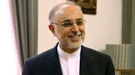 صالحی رئیس سازمان انرژی اتمی شد