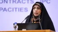 امین‌زاده:
منشور حقوق شهروندی به هیچ وجه از غرب اقتباس نشده است