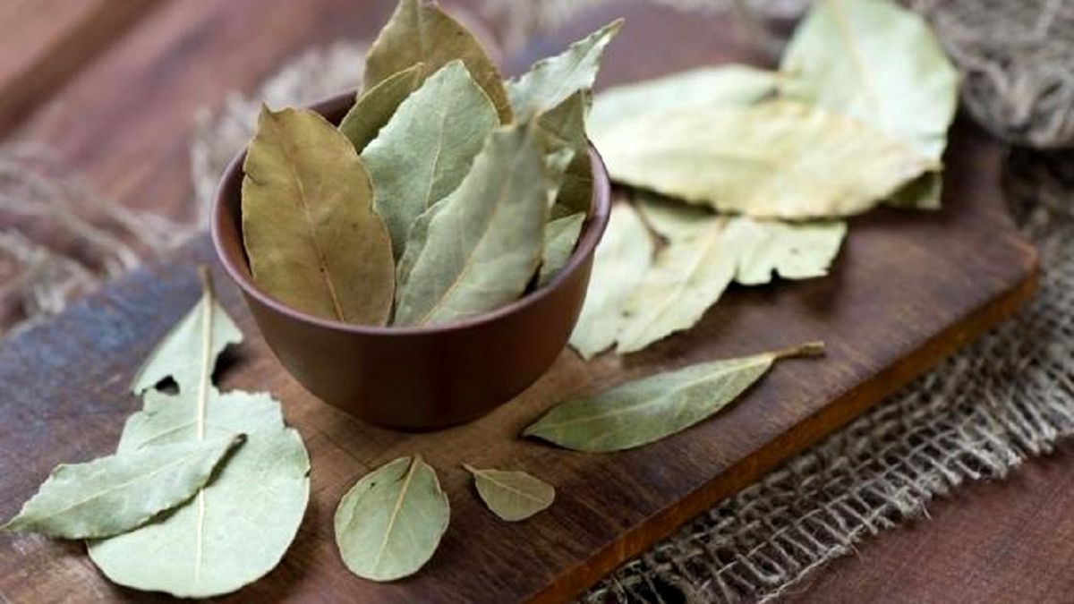  لاغری فوری با یک برگ !