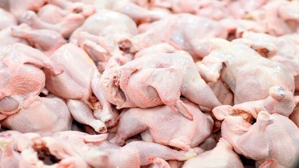 قیمت واقعی مرغ برای مصرف‌کنندگان باید ۲۷ هزار و ۵۰۰ تومان باشد