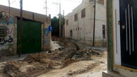 تپه ساسانی در خطر است
