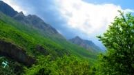 روز جهانی جنگل وارد تقویم‌ زندگی شد