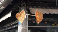 وقتی شاطر عاشق میشه/ عکس