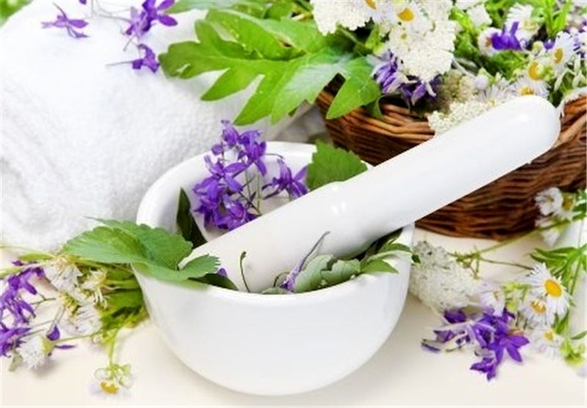 جشنواره ملی گیاهان دارویی و طب سنتی برگزار می‌شود 