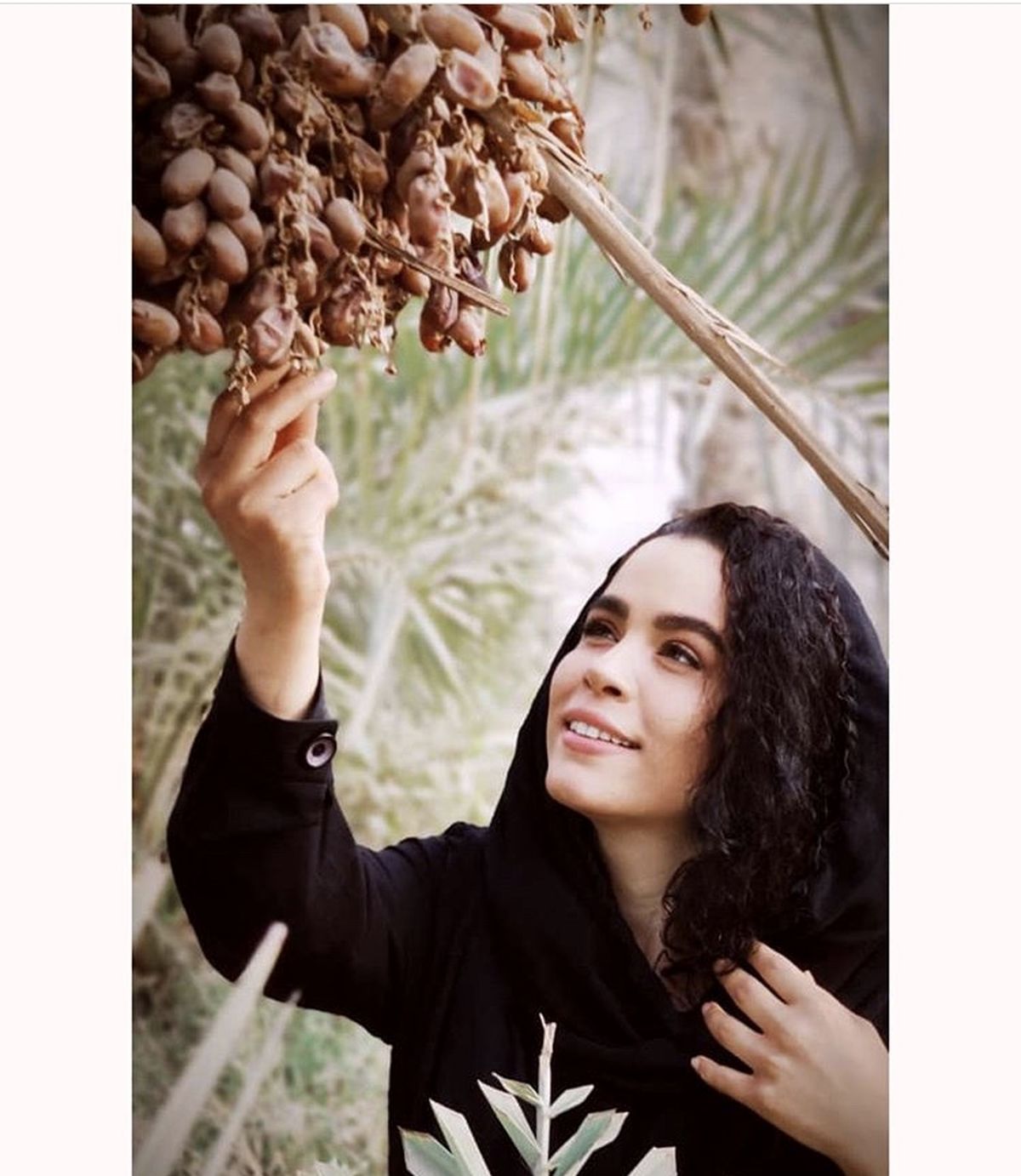 ملیکا شریفی نیا بالای نخل خرما + عکس
