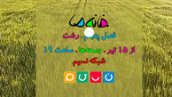 خودمان را سانسور نکنیم