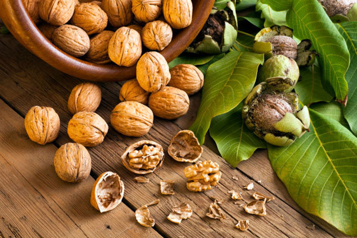 پیشگیری از ابتلا به دیابت با خوردن گردو