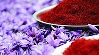 صادرات زعفران به آمریکا متوقف می شود
