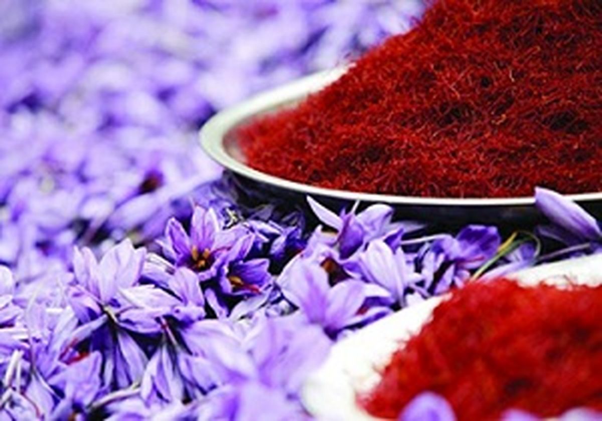 صادرات زعفران به آمریکا متوقف می شود
