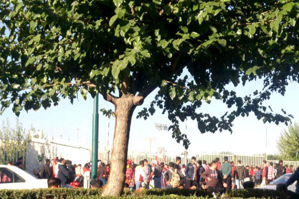 برنامه تماشاگران برای یک بازیکن پرسپولیس